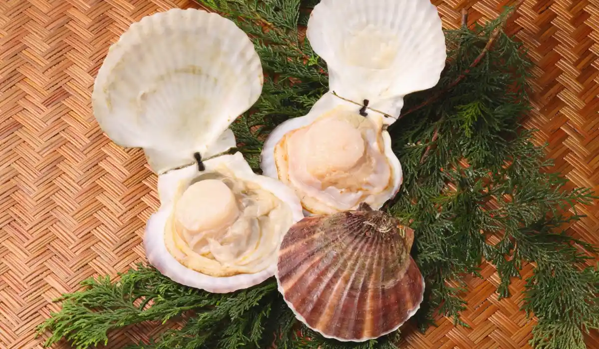 Are Scallops High in Cholesterol? What You Should Know