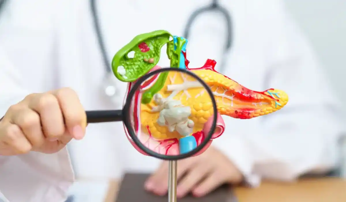 Autoimmune Pancreatitis: Symptoms, Causes, Diagnosis, And Treatment