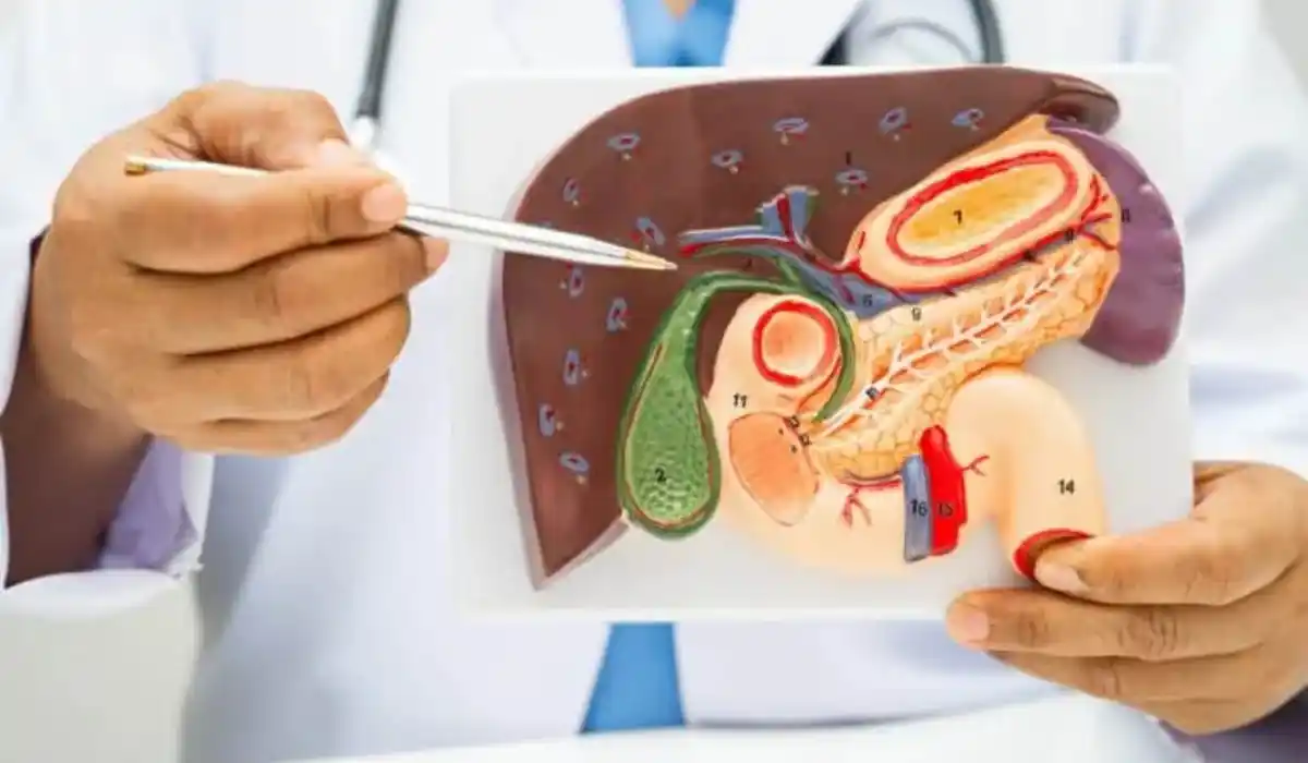 What Causes Gallstones In Women? Symptoms, Risks, And Prevention