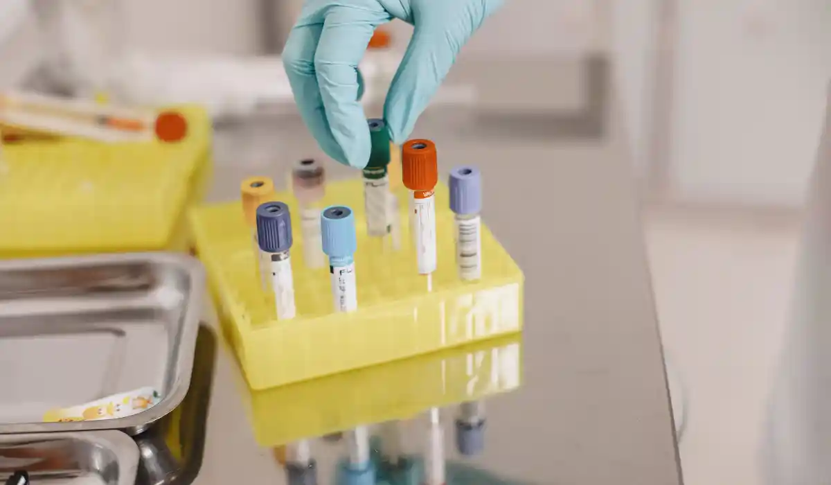 What Is VLDL Cholesterol