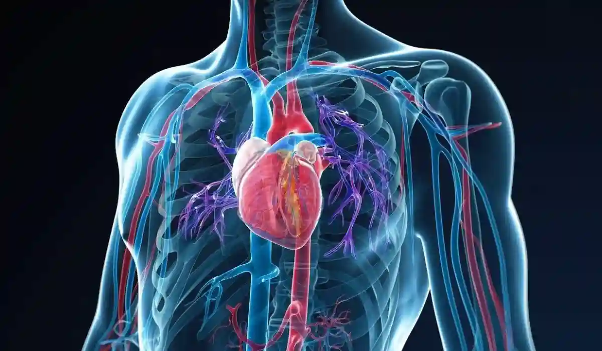 how to improve heart health