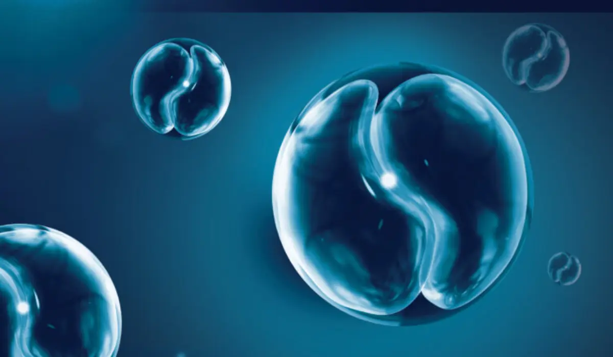 Cyclospora Treatment Options: Medication, Recovery Time, and Relief Tips for Parasite Infection