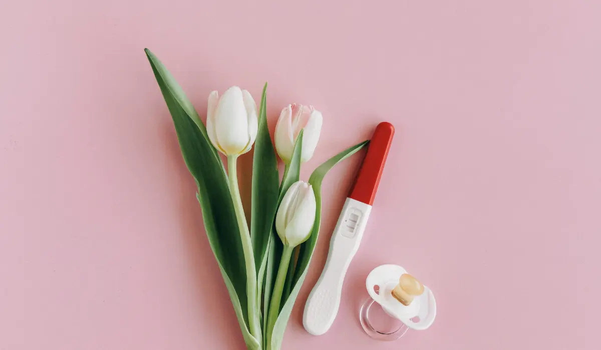 How Long After A Miscarriage Can You Get Pregnant Again? Ovulation, Periods, And Safe Timing